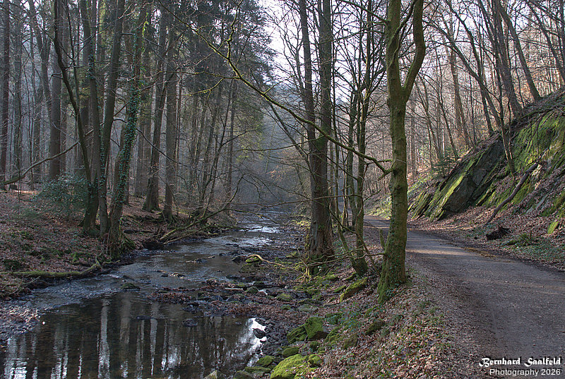 Bernhard Saalfeld - Dhuenn (3v9)